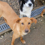 20251126-fotos-mira-5