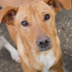 20251126-fotos-mira-6