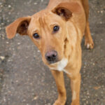 20251126-fotos-mira-7