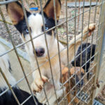 20251126-fotos-sasaki-1