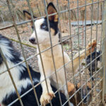 20251126-fotos-sasaki-3