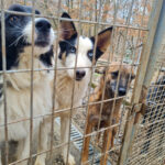 20251126-fotos-sasaki-4