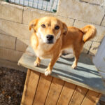 20251126-fotos-sena-5