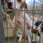 20251126-fotos-takita-1