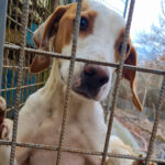 20251126-fotos-takita-2