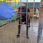 20251228-fotos-billie-1