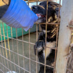 20251228-fotos-billie-2