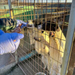 20251228-fotos-ilias-1