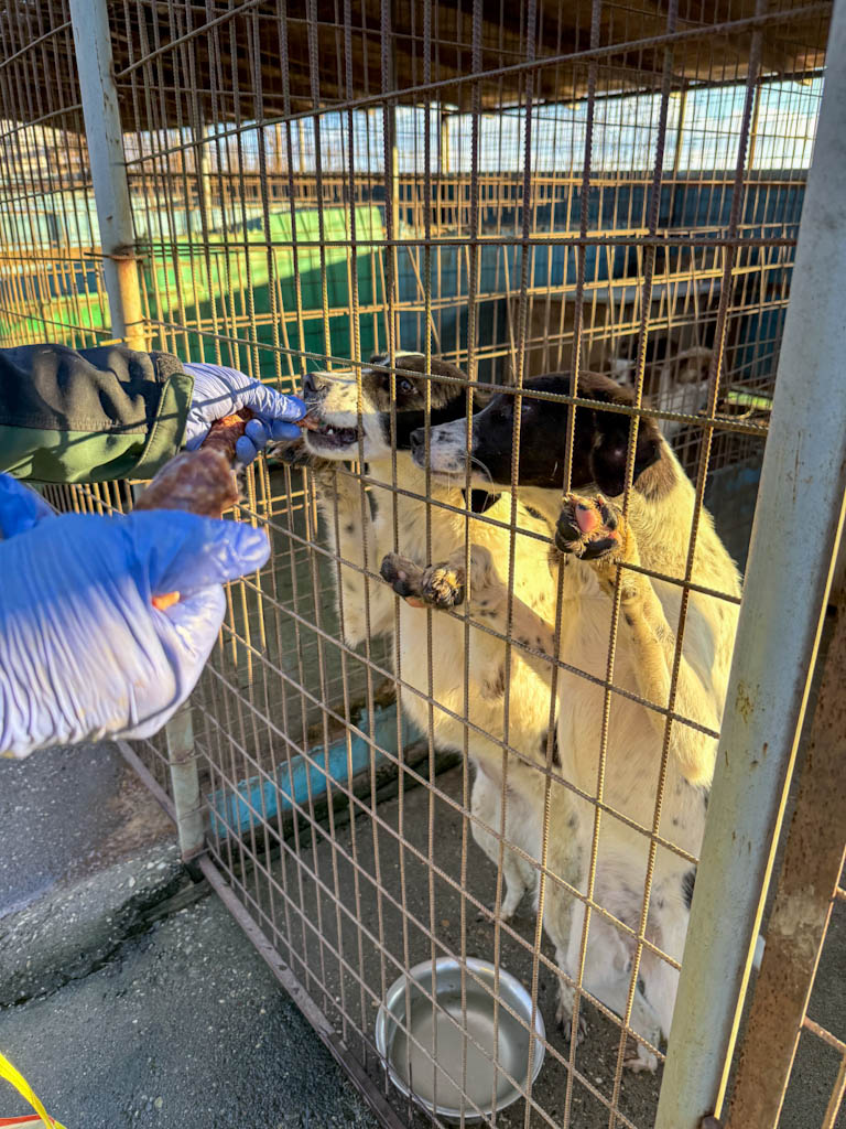 20251228-fotos-ilias-1