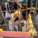 20251228-fotos-ilias-2