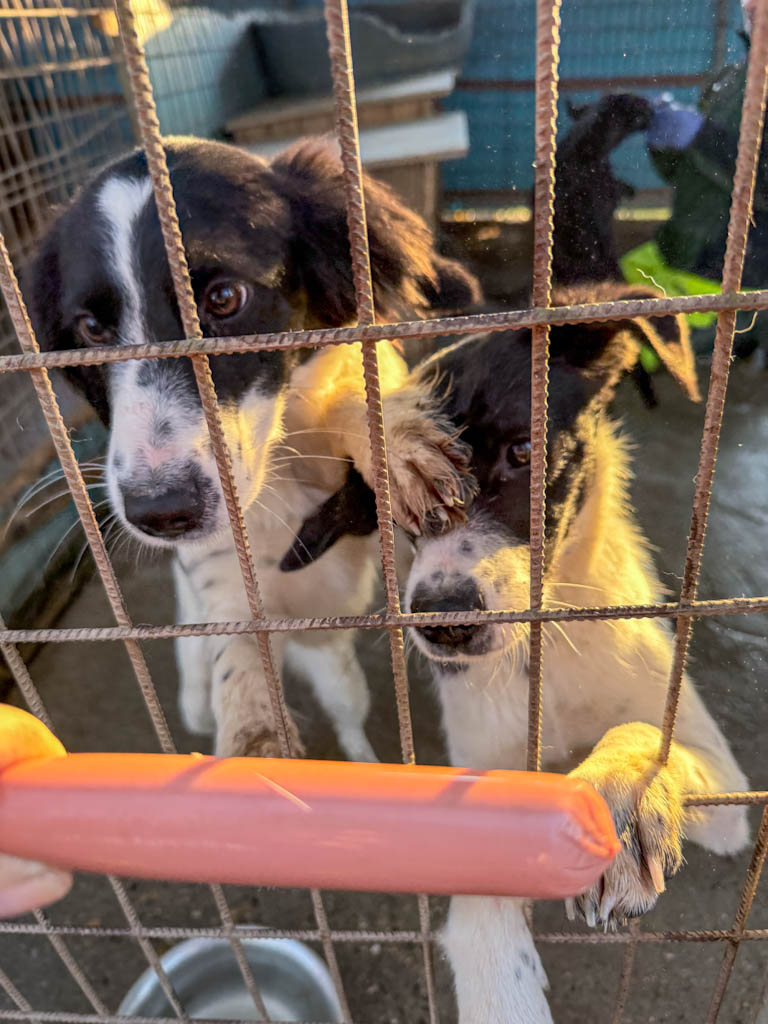 20251228-fotos-ilias-2