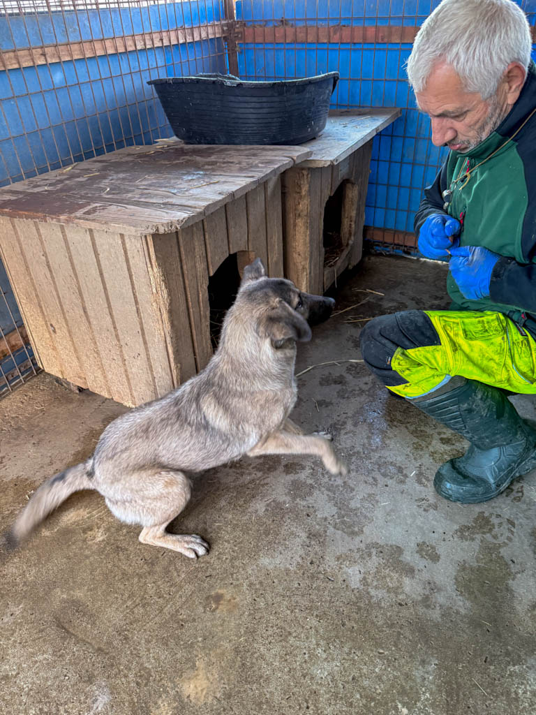 20251228-fotos-josephine-1