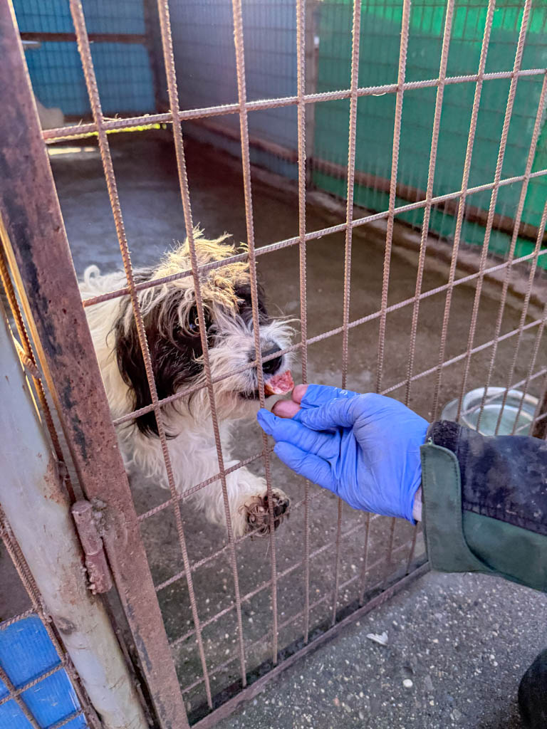 20251228-fotos-kelvin-2