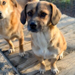 20251228-fotos-millie-1