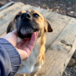 20251228-fotos-millie-2