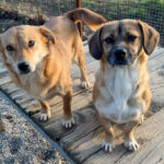 20251228-fotos-millie-3