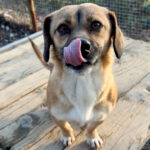 20251228-fotos-millie-4