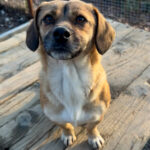 20251228-fotos-millie-6