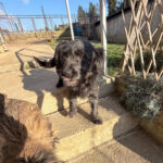 20251228-fotos-ramona-01