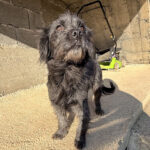 20251228-fotos-ramona-02