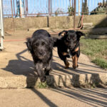 20251228-fotos-ramona-03