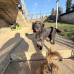 20251228-fotos-ramona-04