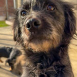 20251228-fotos-ramona-05