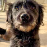 20251228-fotos-ramona-07