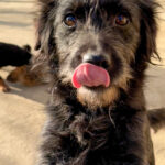 20251228-fotos-ramona-08