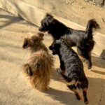 20251228-fotos-ramona-09