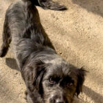 20251228-fotos-ramona-10