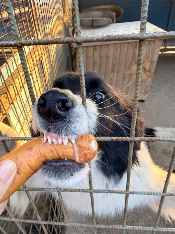 20251231-news-würstchenparty-2