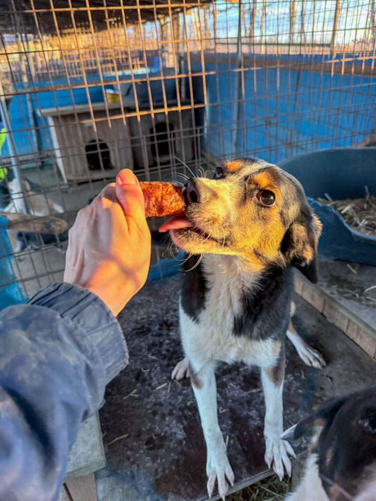 20252228-fotos-loara-1