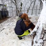 20260105-fotos-dario-4