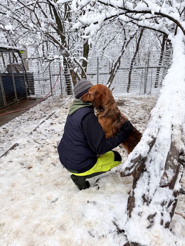 20260105-fotos-dario-4