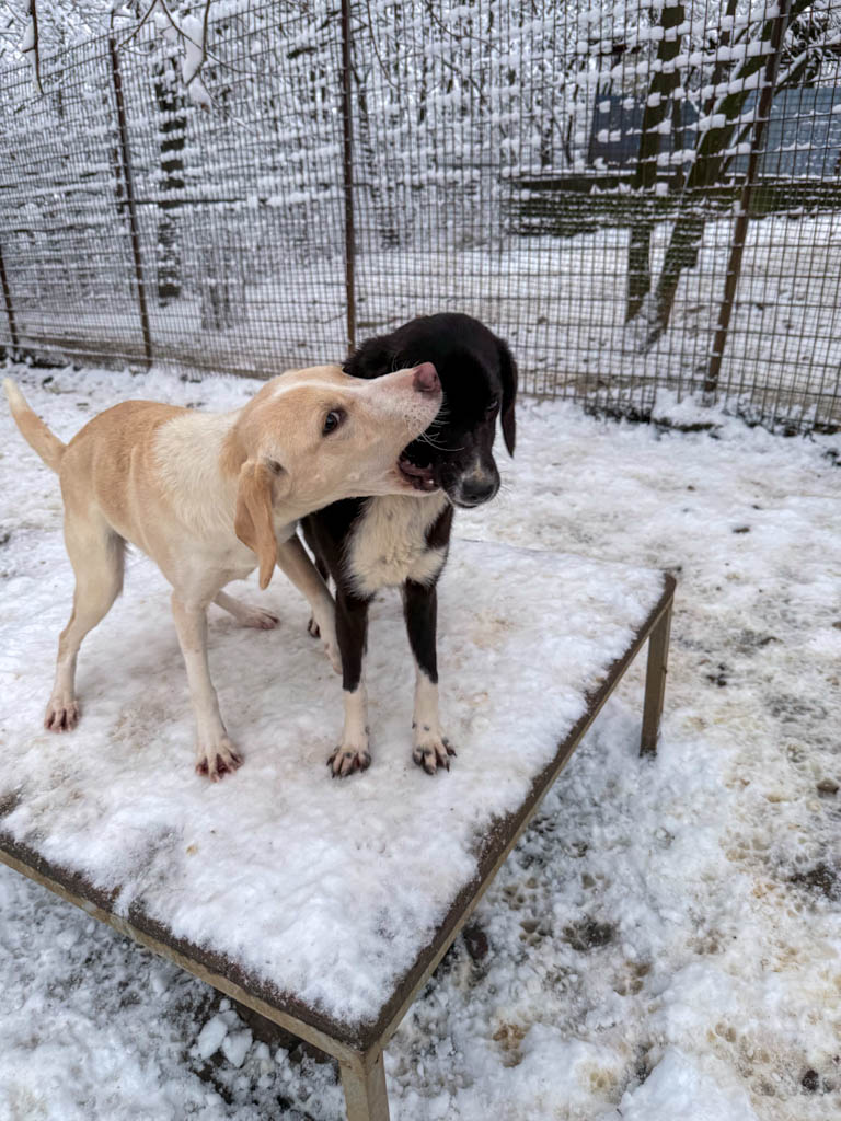 20260105-fotos-flavia-2