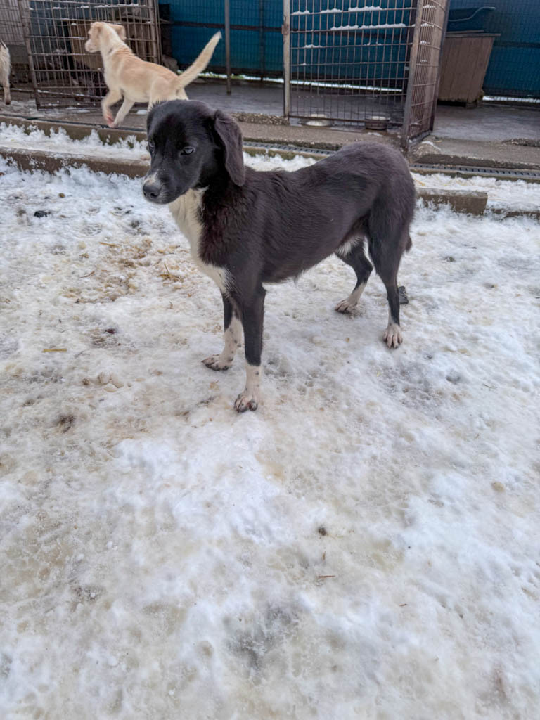 20260105-fotos-flavia-3