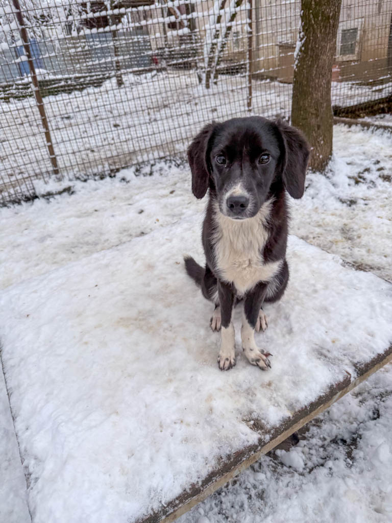 20260105-fotos-flavia-4