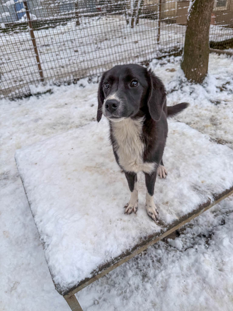 20260105-fotos-flavia-5