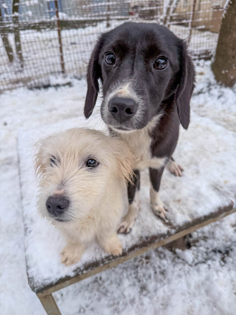 20260105-fotos-flavia-7