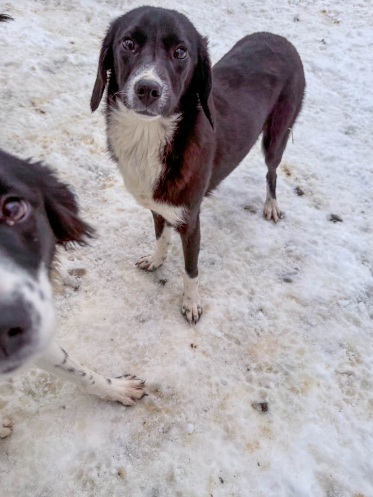 20260105-fotos-flavia-8