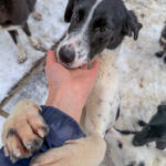 20260105-fotos-ilias-1