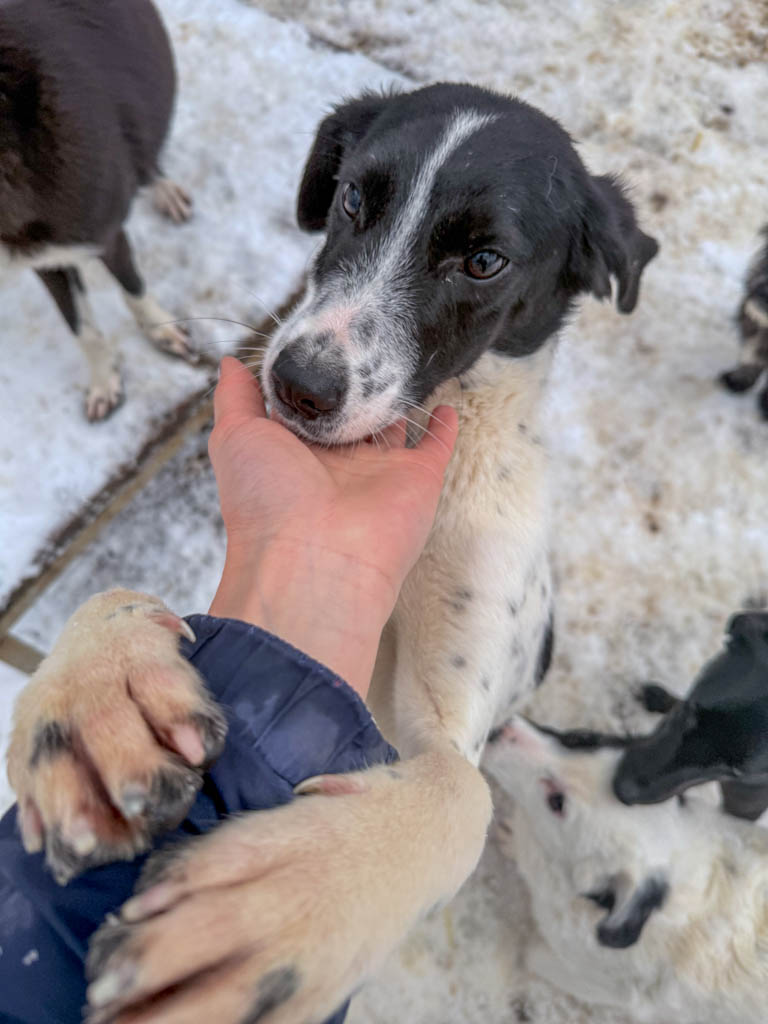 20260105-fotos-ilias-1