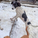 20260105-fotos-ilias-2