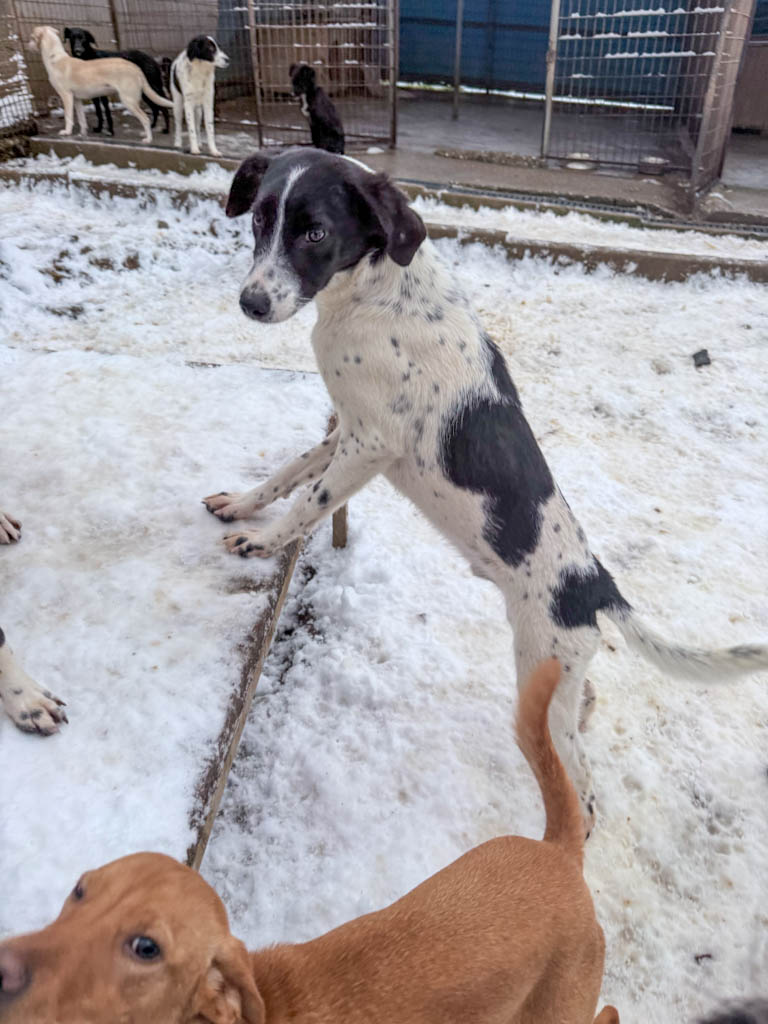 20260105-fotos-ilias-2