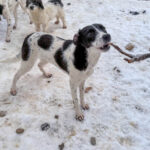 20260105-fotos-ilias-5