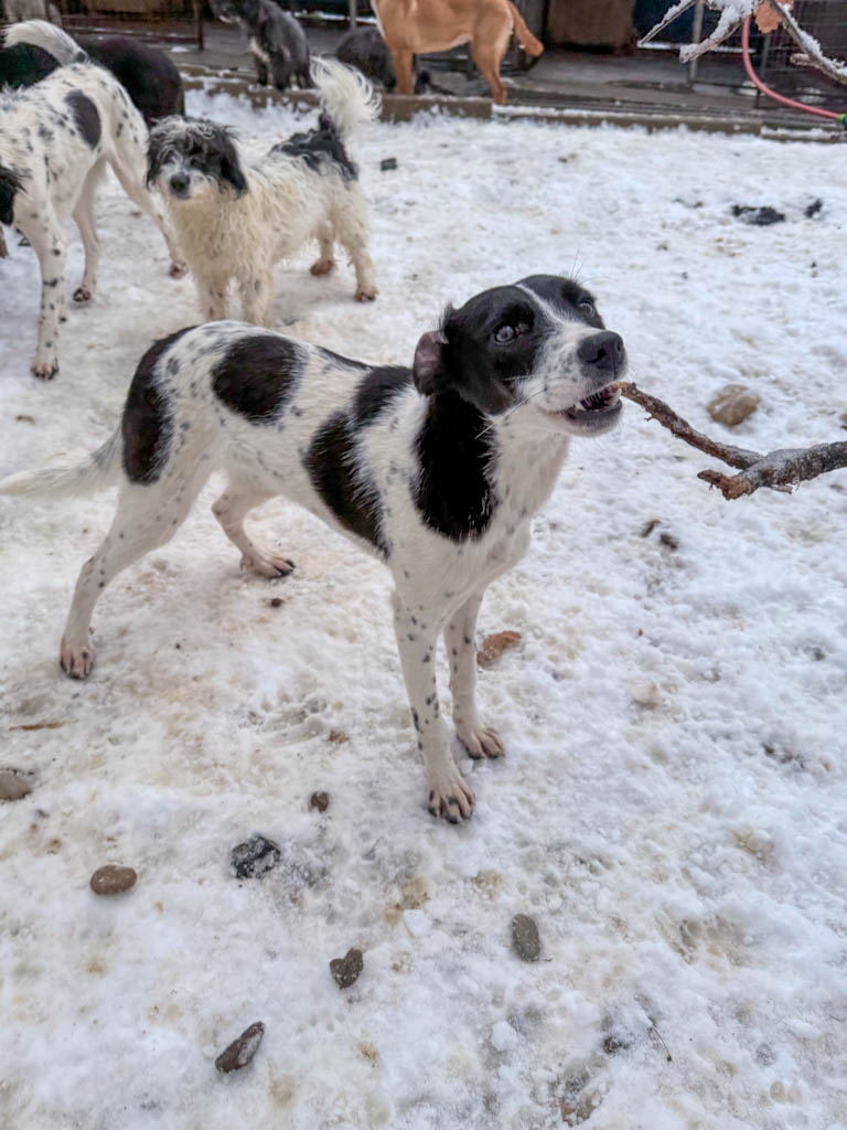 20260105-fotos-ilias-5