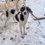 20260105-fotos-ilias-7