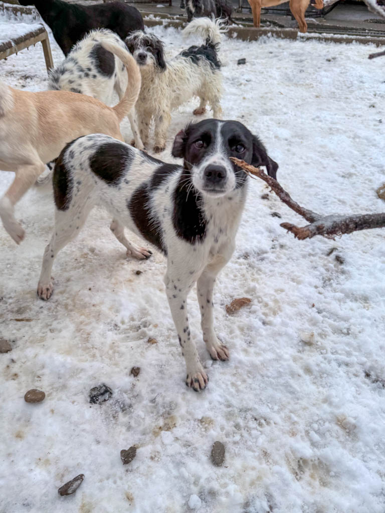 20260105-fotos-ilias-7