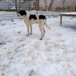 20260105-fotos-ilias-8